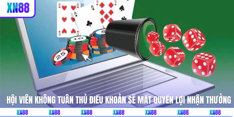 Hội viên không tuân thủ điều khoản sẽ mất quyền lợi nhận thưởng