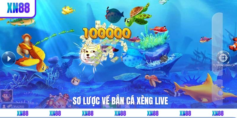 Tổng quan về game bắn cá Xèng live